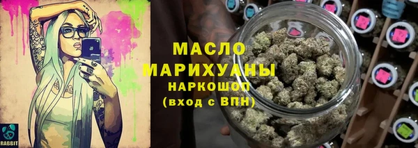 молекула духа Снежногорск