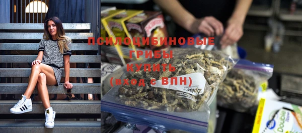 твердый Белокуриха