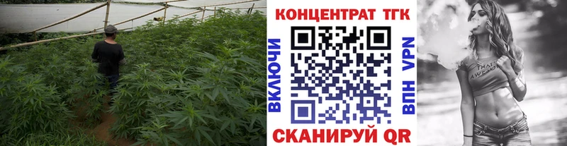 Дистиллят ТГК THC oil  купить наркоту  Емва 